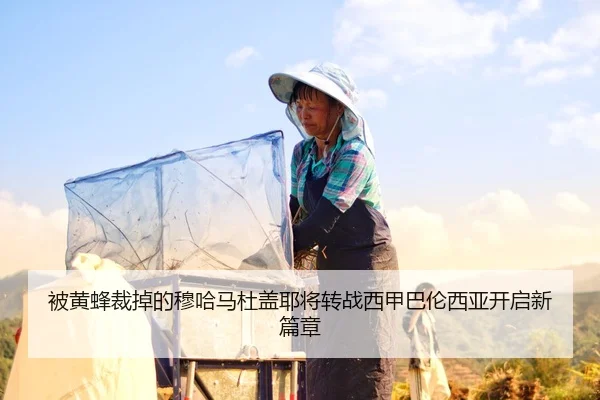 被黄蜂裁掉的穆哈马杜盖耶将转战西甲巴伦西亚开启新篇章
